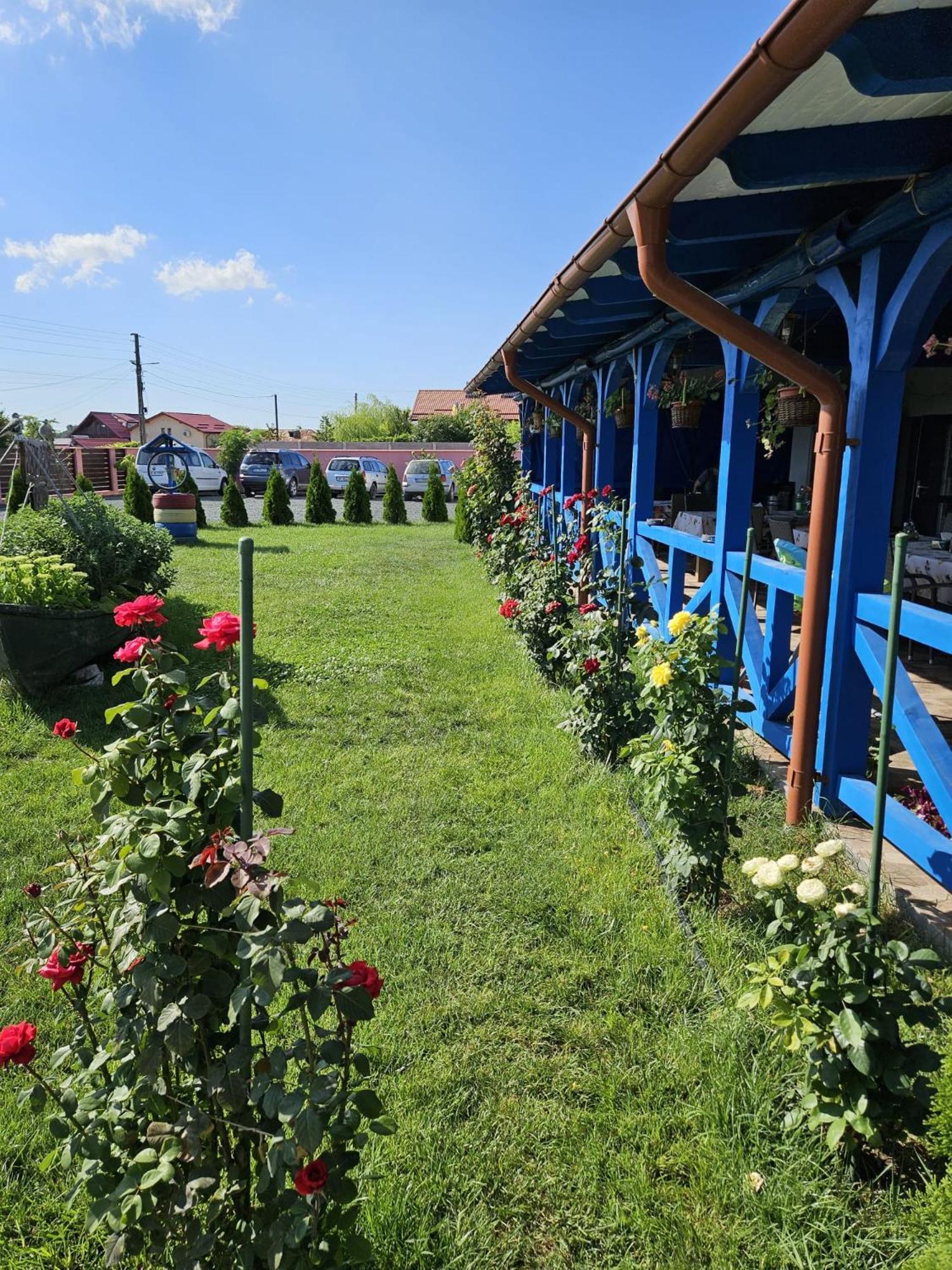 Hotel Agropensiuea Casa Uncu Murighiol Esterno foto