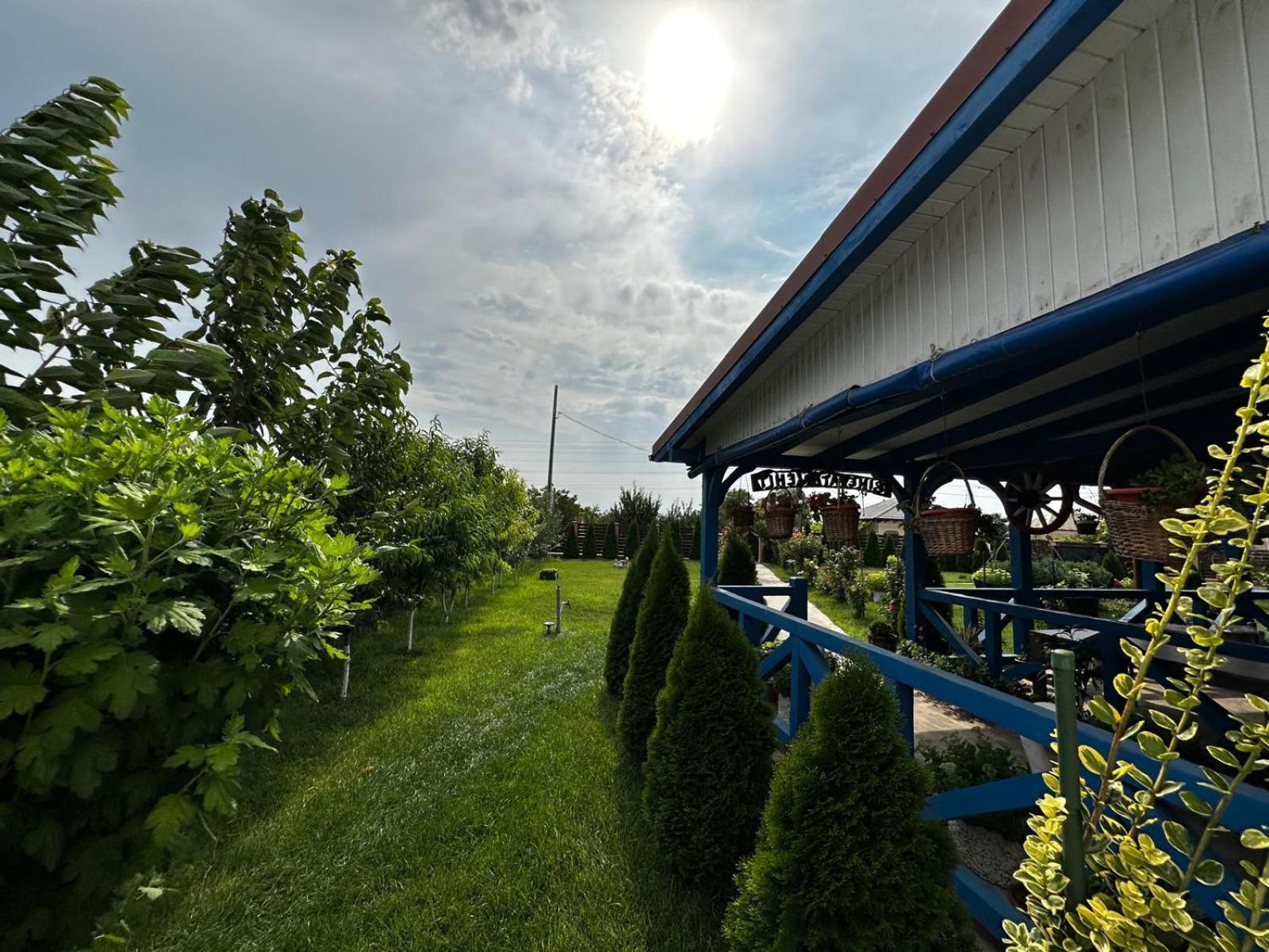 Hotel Agropensiuea Casa Uncu Murighiol Esterno foto